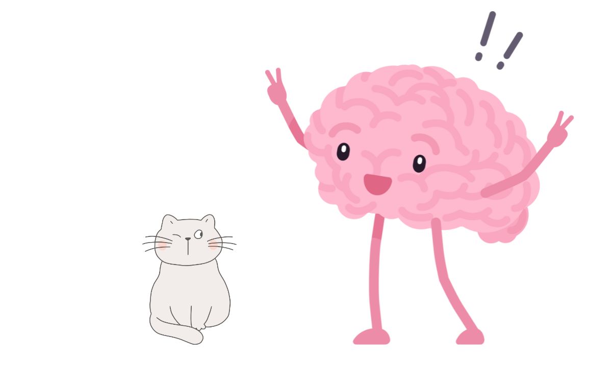 Blog post anxiety cat